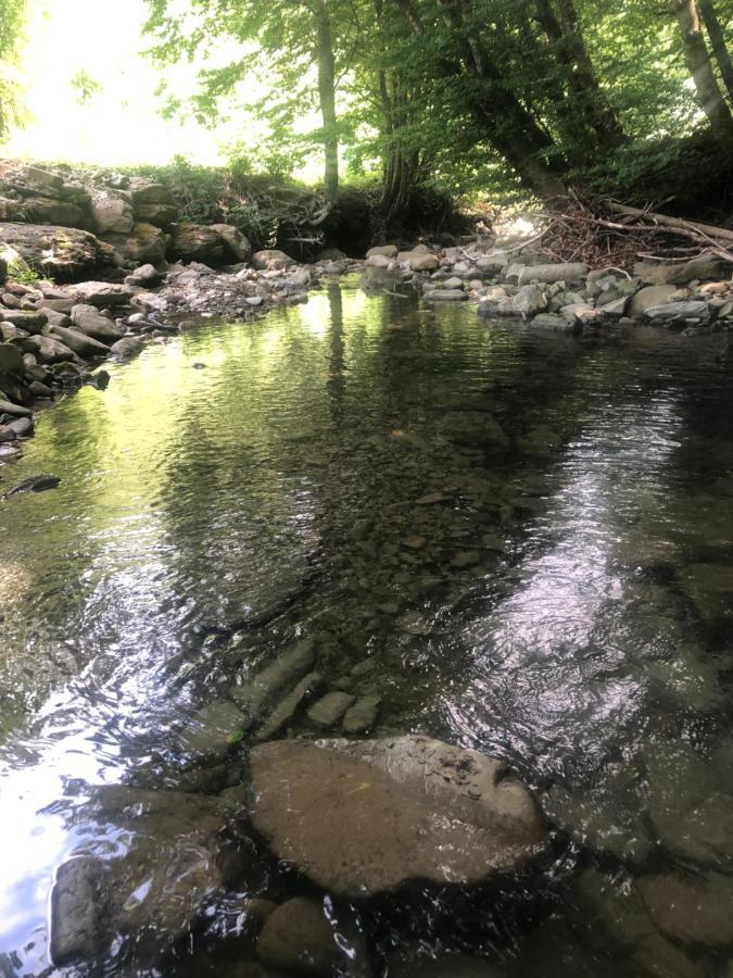 شقة Casa Nel Bosco, Appennino Tosco Emiliano Camugnano المظهر الخارجي الصورة